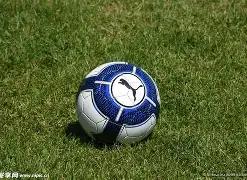 彩市秘籍大,公开,揭秘,武汉体彩,武汉体彩网,武汉体彩网官网,体育彩票,体彩大乐透,竞彩足球,体彩公益