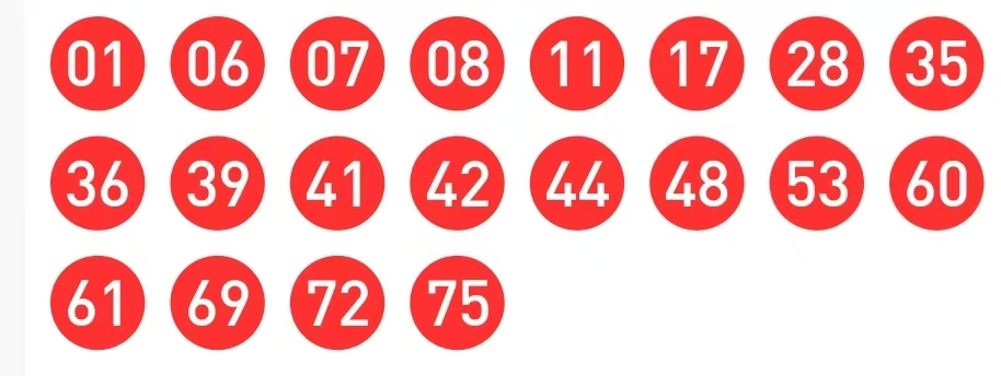 期大乐透专,家质合推荐,前区十码混,武汉体彩,武汉体彩网,武汉体彩网官网,体育彩票,体彩大乐透,竞彩足球,体彩公益