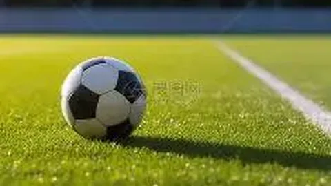 【奇缘跨域】2026年02期3D独家预测：揭秘跨值与和值，178，高手秘笈大放送！