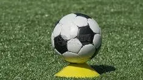 【彩市秘籍大公开】揭秘2026年033期福彩3D，精选40注组选策略，高手玩彩技巧全解析！